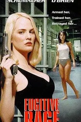 街头正义的化身：执法精英的硬汉柔情，暴力美学下的道德困境！